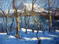 Morning Sun on Snow